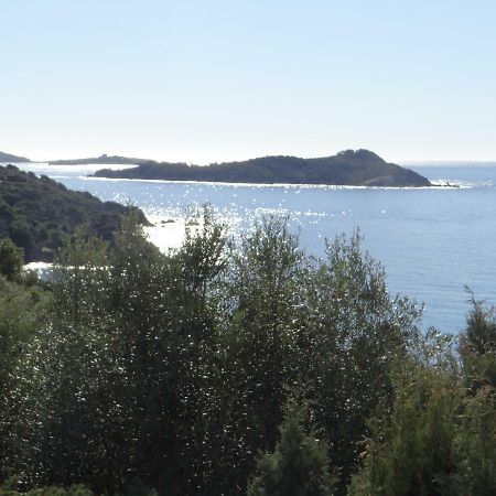 Appartement T2 50M² Vue Mer Presqu'Il De Giens. Rc 耶尔 外观 照片