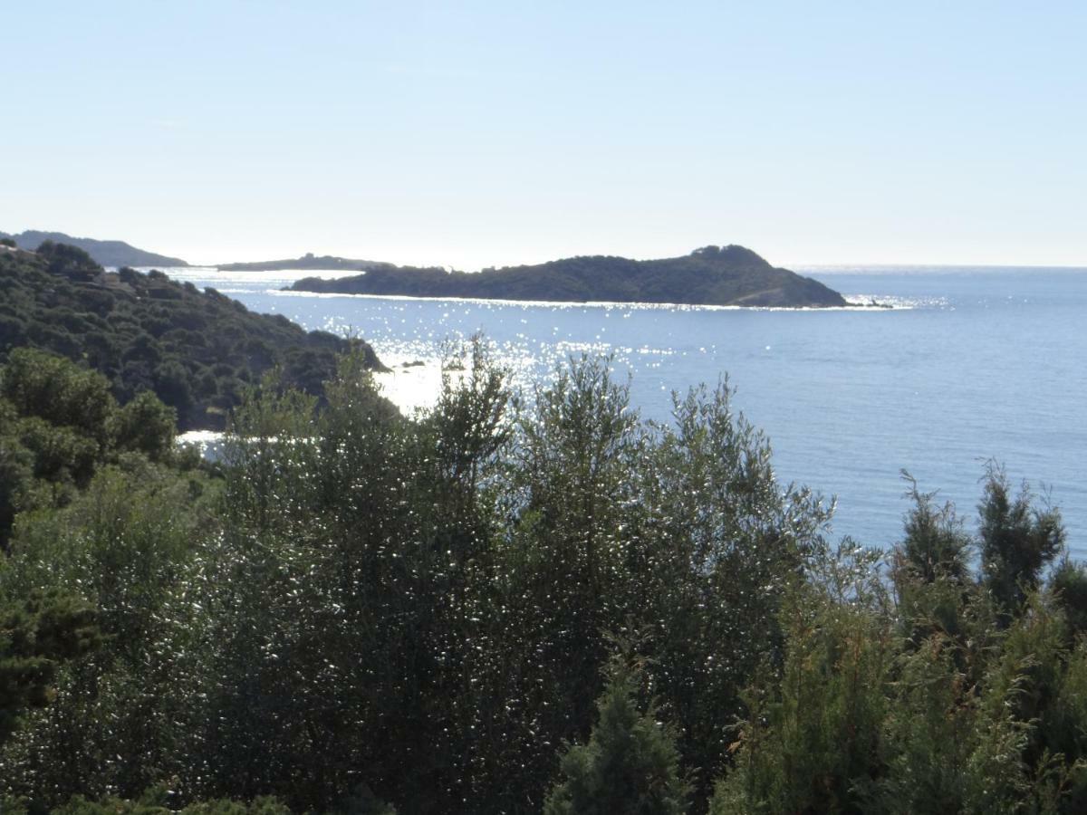 Appartement T2 50M² Vue Mer Presqu'Il De Giens. Rc 耶尔 外观 照片